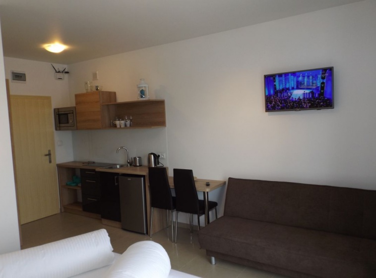 Apartamenty WILLA PORT Apartament jednopokojowy nr 5-dla 2 osób lub dla 2 osób z max.2 dzieci Możliwość rozdzielenia łoża małżeńskiego na dwa poj. łóżka hotelowe.