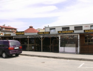 Muszelka 