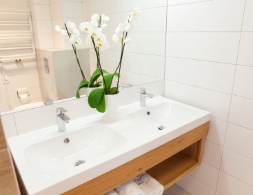 Apartament Wschodni Podwójna umywalka