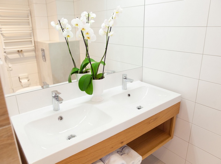 Apartament Wschodni Podwójna umywalka?v=1.0