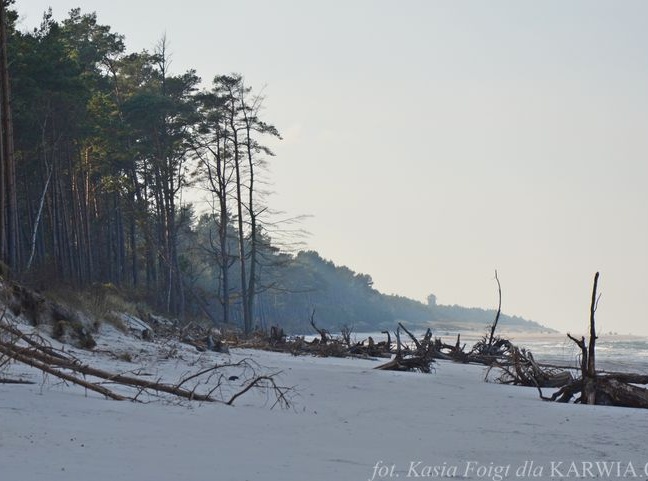 Plaża między Karwią a Dębkami  