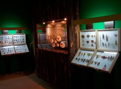 Muzeum Motyli  