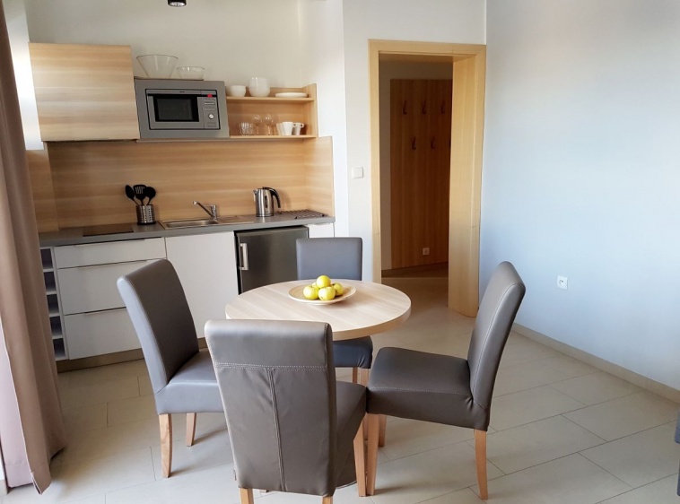 Apartamenty i pokoje gościnne IZBA U JĘDRUSIA Apartament nr 3 - nowy apartament na pierwszym piętrze dla od 2 do 4 osób z aneksem kuchennym.