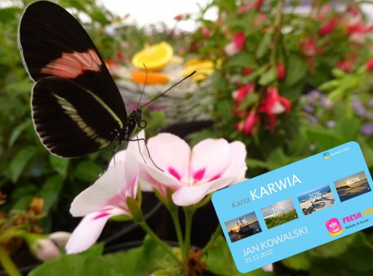 KUP KARTĘ KARWIA