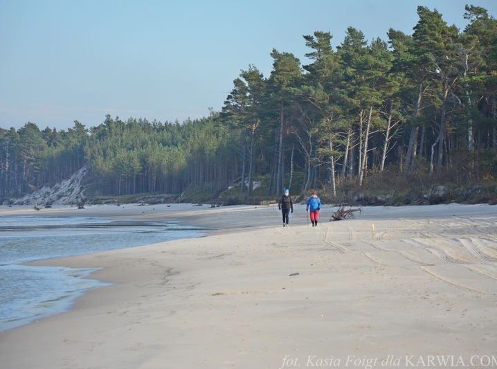 Plaża między Karwią a Dębkami  