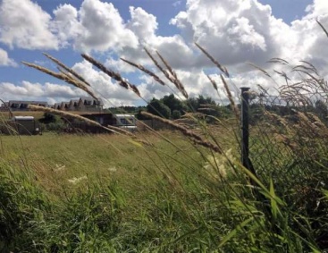 Sprzedaż - Działka rekreacyjna nad morzem - 480m2 