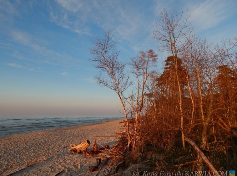 Plaża między Karwią a Dębkami  