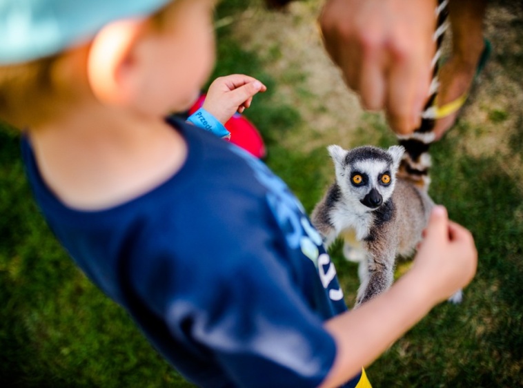 Lemur Park 