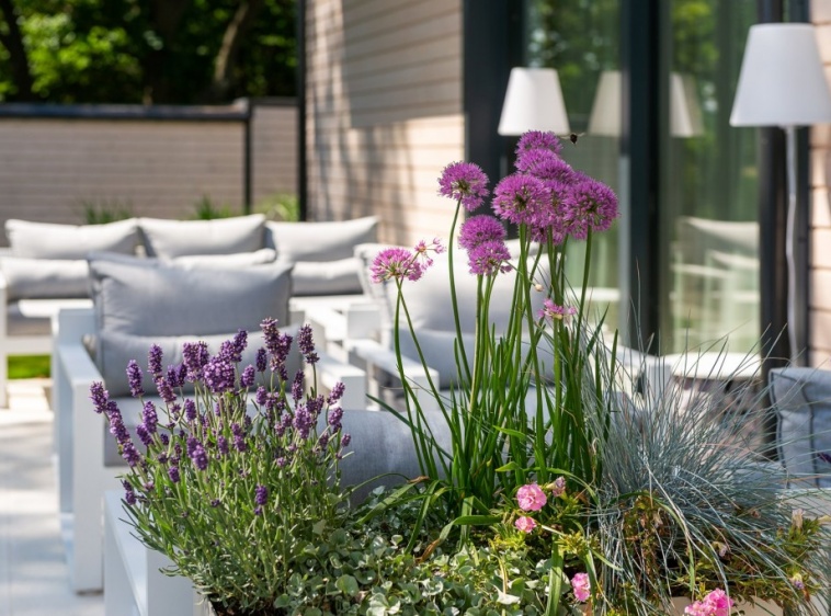 M2 Summer House 