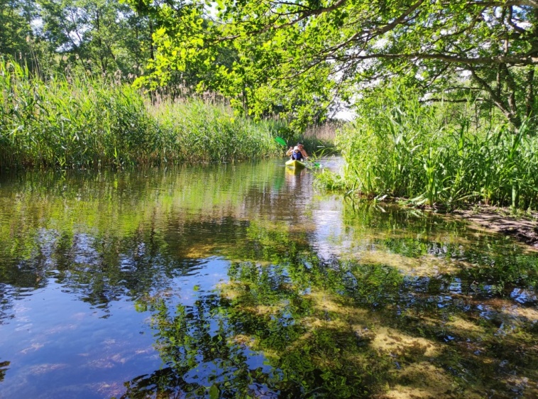 Kajaki na Fali rzeka