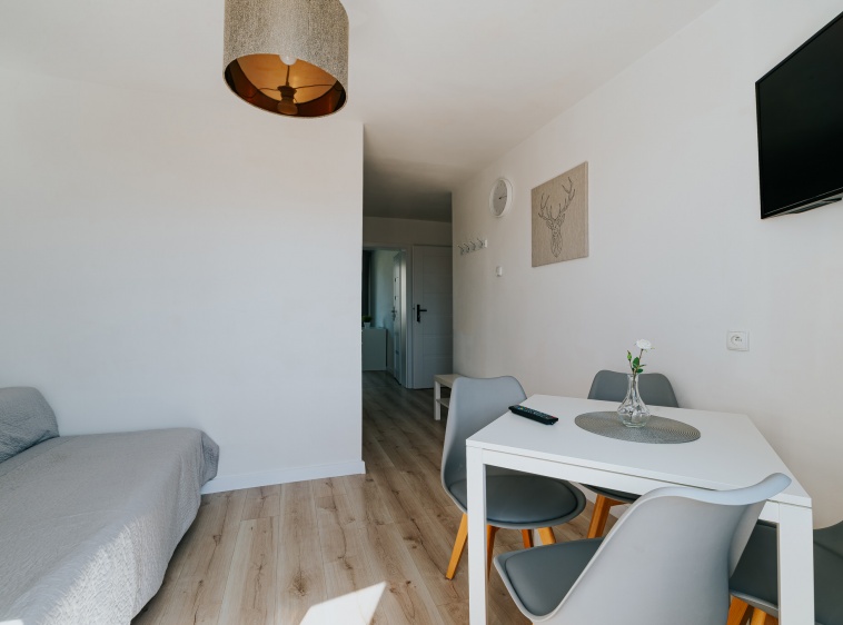 Pensjonat SILWANA Apartament