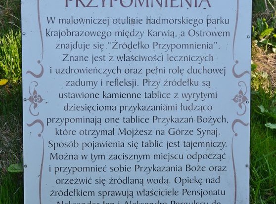 Źródełko Przypomnienia w Ostrowie  