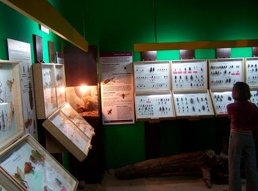 Muzeum Motyli  