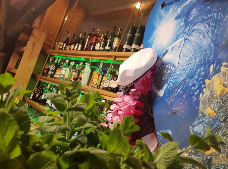 Żubrówka Drink Bar