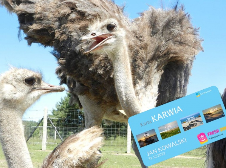 KUP KARTĘ KARWIA 