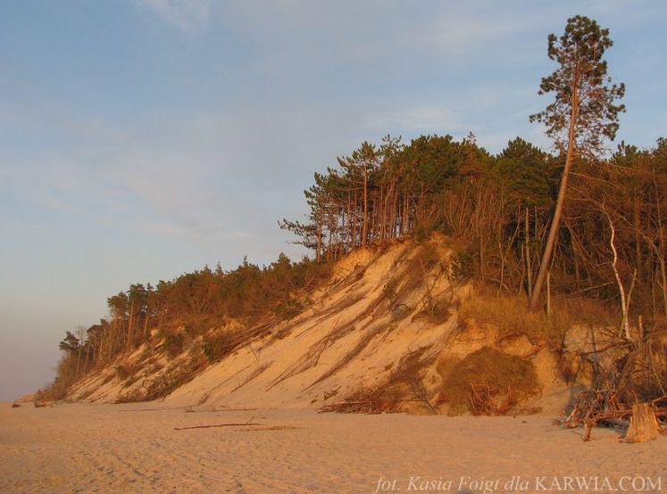 Plaża między Karwią a Dębkami  