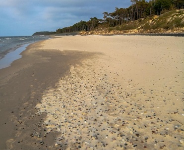 plaża między Karwią a Jastrzębią Górą ok 30 min spacerem od Karwi. Już zaczynają się drobne kamyki...