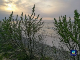 plaża między Karwią a Jastrzębią Górą ok20  min spacerem od Karwi