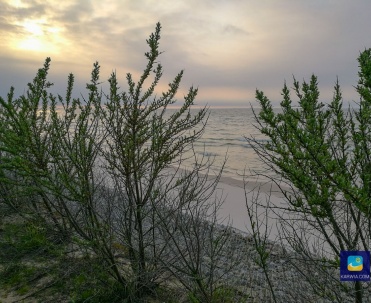 plaża między Karwią a Jastrzębią Górą ok20  min spacerem od Karwi