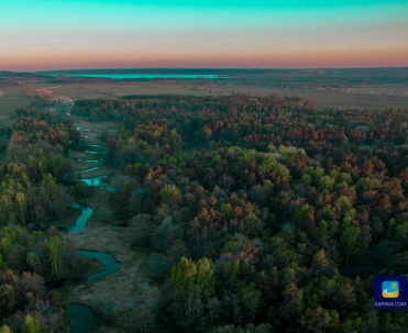 Dębki - Piaśnica, a w oddali jezioro Żarnowieckie